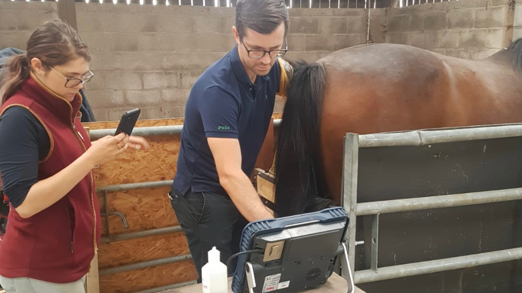 Malton Equine Veterinary Services