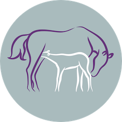 Malton Equine Veterinary Services