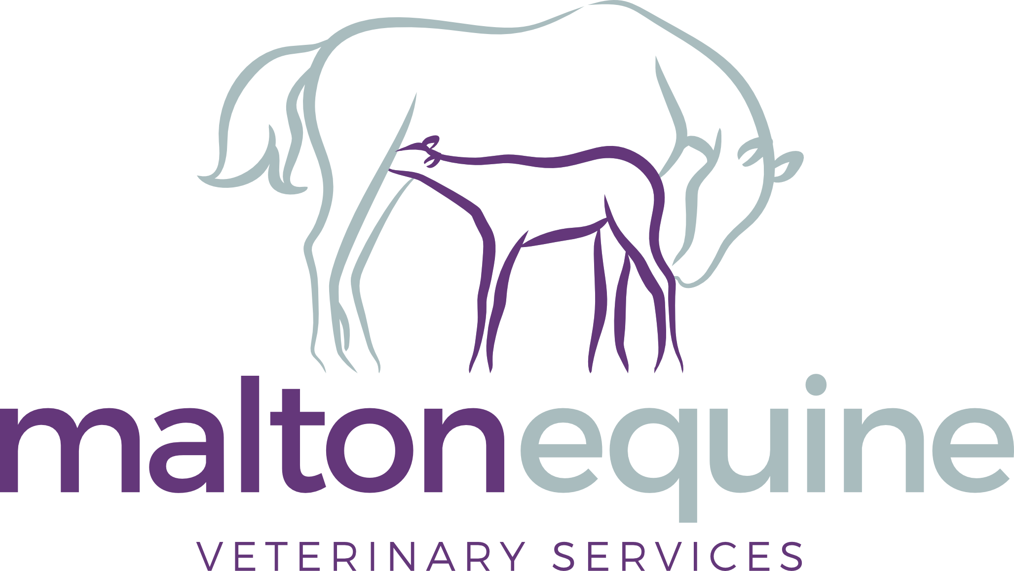 Malton Equine Veterinary Services